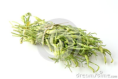 Raphanus sativus Linn. Var. Caudatus Alef. Vegetables. Stock Photo