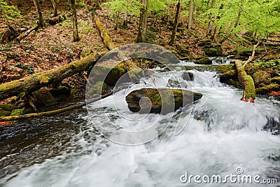 rapid brook among rocks in the natural park Stock Photo