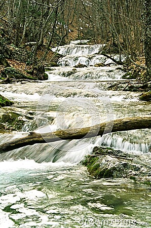 Rapid mountain river Stock Photo