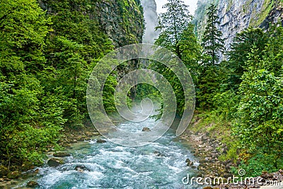 Rapid mountain river flowing in the forest Stock Photo