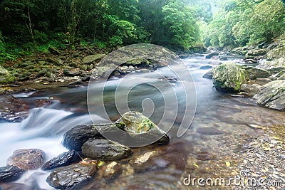 A rapid stream flowing through a mysterious forest of lush greenery Stock Photo