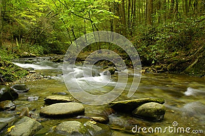 Rapids on Laurel creek, GSMNP Stock Photo