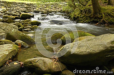 Rapids on Laurel creek, GSMNP Stock Photo