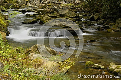 Rapids on Laurel creek, GSMNP Stock Photo