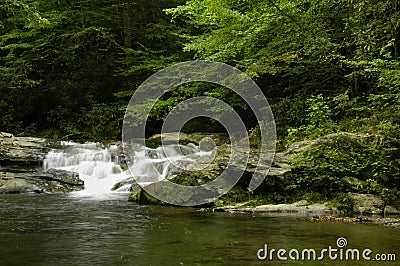 Rapids on Laurel creek, GSMNP Stock Photo
