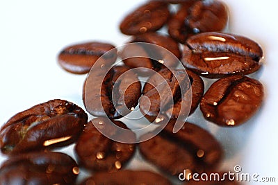 Rapprochement of coffee beans. ZbliÅ¼enie ziaren kawy Stock Photo