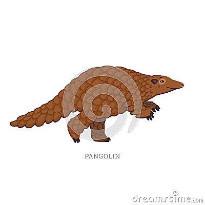 Rare animals collection. Pangolin or scaly anteaters. Unique mammals covered with scales. Flat style vector illustration Vector Illustration