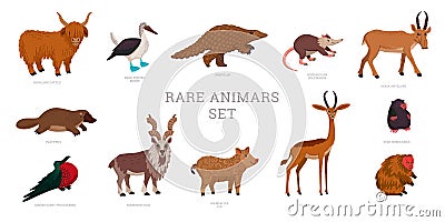 Rare animals collection. World Rarest Animals. Flat style vector illustration isolated on white background. Vector Illustration