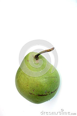 Rare variety of pear Stock Photo