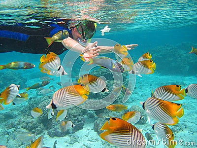 Rarotonga underwater Stock Photo