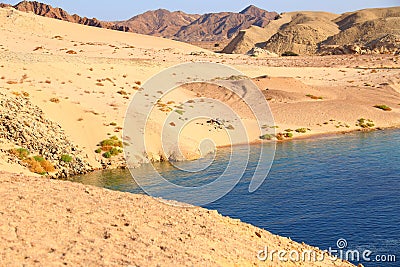 Ras Mohammad National park Stock Photo