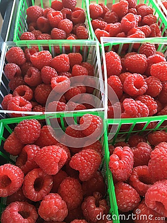 Rasberries Stock Photo