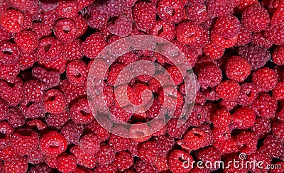 Rasberry in summer Stock Photo