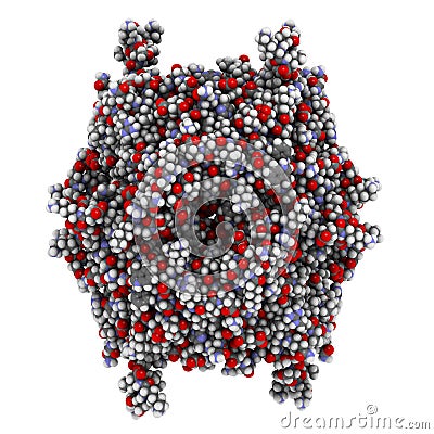 Rasburicase (recombinant urate oxidase) enzyme molecule. Used to treat and prevent tumor lysis syndrome (TLS Stock Photo