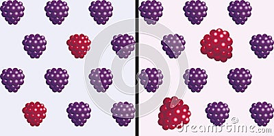 Raspberries and blackberries. Seamless 3D object pattern on light background. Vector Illustration