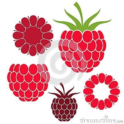 Raspberries Vector Illustration