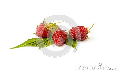 Raspberries with leaves on the white background Stock Photo