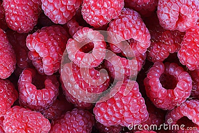 Raspberries Stock Photo