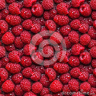 Raspberries seamless pattern background. Realistic photographic style. Cartoon Illustration