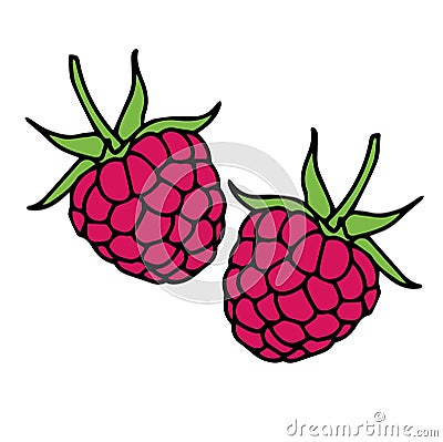 2 raspberries . Vector illustration Cartoon Illustration