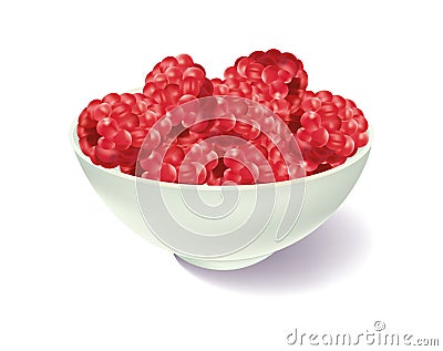 Raspberries in a white bowl Vector Illustration