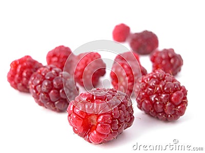 Raspberry Stock Photo