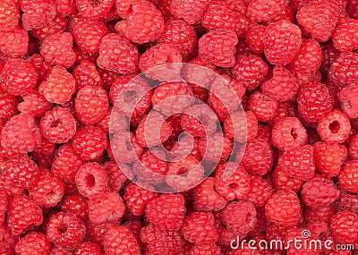 Raspberry Stock Photo