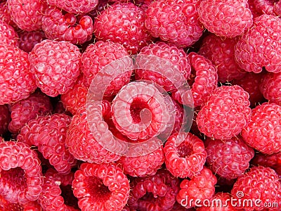 Raspberry berries Stock Photo