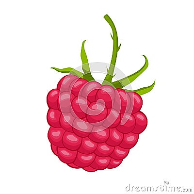 raspberry berry cartoon vector illustration Cartoon Illustration