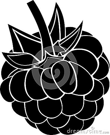 Raspberry berry Vector Illustration