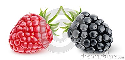 Raspberry and blackberry Stock Photo