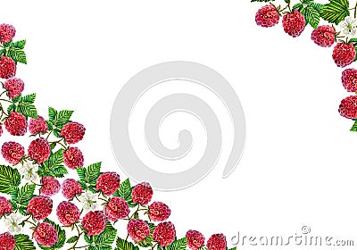 Raspberry. Frame with raspberry branches with berries and leaves. watercolor illustration. Cartoon Illustration