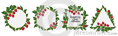 Raspberry frame. Set of golden frames with raspberry sprigs, berries, and leaves Vector Illustration