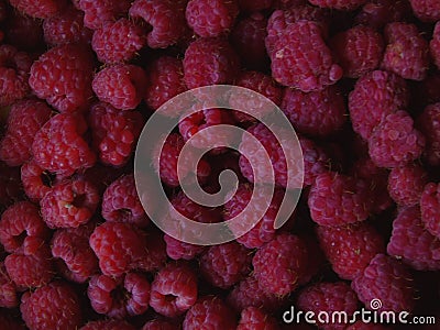 Raspberry - a fresh healthy sweet fruit for your breakfast or lunch Stock Photo