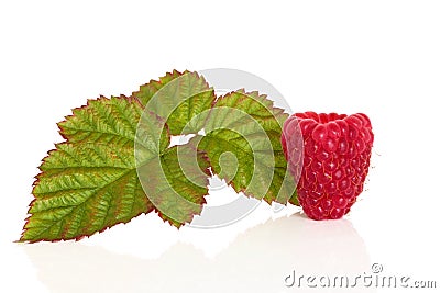 Raspberry Fruit Stock Photo