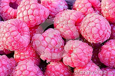 Raspberry fruit background. Texture background ripe pink raspberry Stock Photo