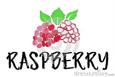 Raspberry fruit label and sticker Vector Illustration