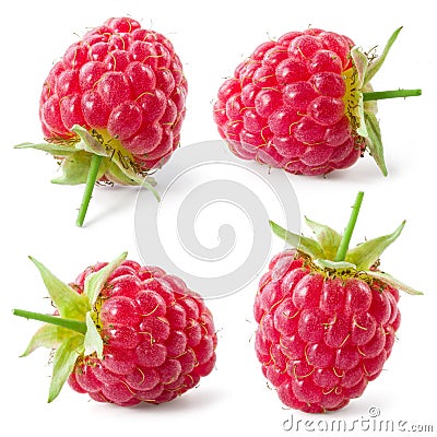 Raspberry isolated on white background. Collection. Stock Photo