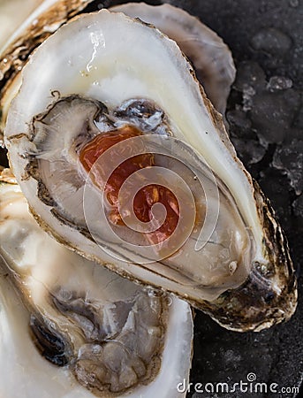 Raspberry Point Oyster on the Half Shell Stock Photo