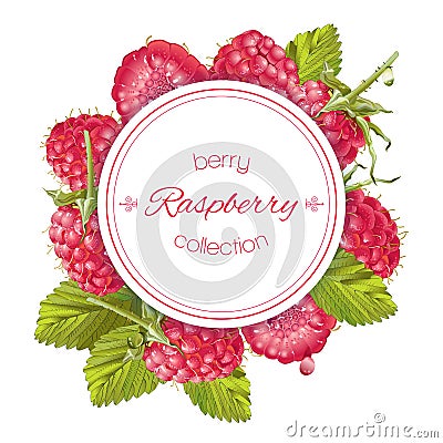 Raspberry round banner Vector Illustration