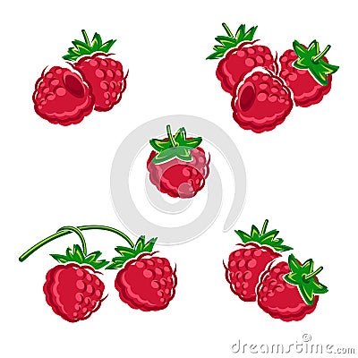 Raspberry set. Vector Vector Illustration