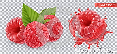 Raspberry. Sweet fruit. 3d realistic vector icon Vector Illustration