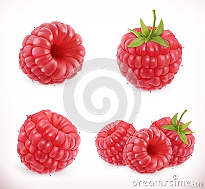 Raspberry. Sweet fruit. 3d vector icons set Vector Illustration