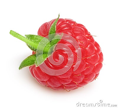 Raspberry twig with ripe berry isolated Stock Photo