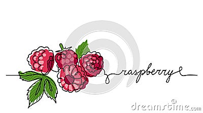 Raspberry vector color illustration, background, sketch banner for label design. One continuous line drawing of Vector Illustration