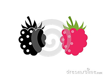 Raspberry vector icon illustration. Flat berry sweet healthy organic fruit raspberry blackberry Vector Illustration