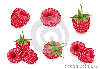 Raspberry vector icons set. 3d realistic vector illustration Vector Illustration