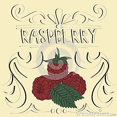 Raspberry vintage poster. Vector Illustration