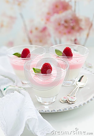 Raspberry yogurt dessert Stock Photo