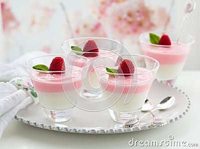 Raspberry yogurt dessert Stock Photo